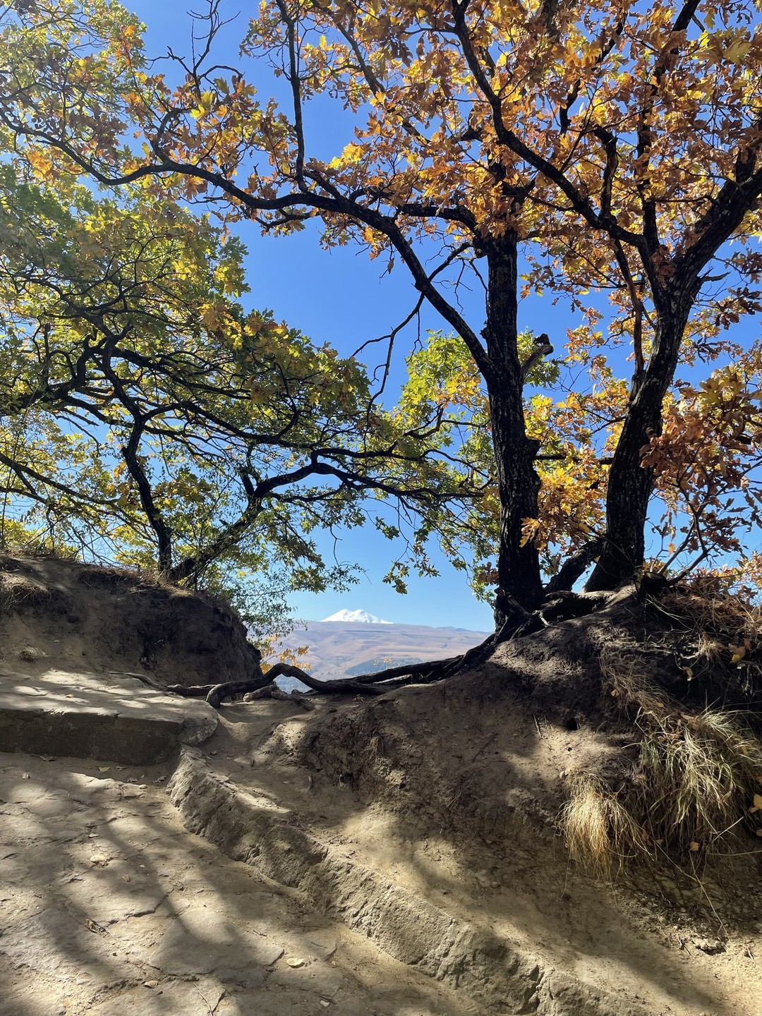 Пешеходная прогулка с малого седла и до ребровой балке отлично прошла, самостоятельно проходили по этому маршруту