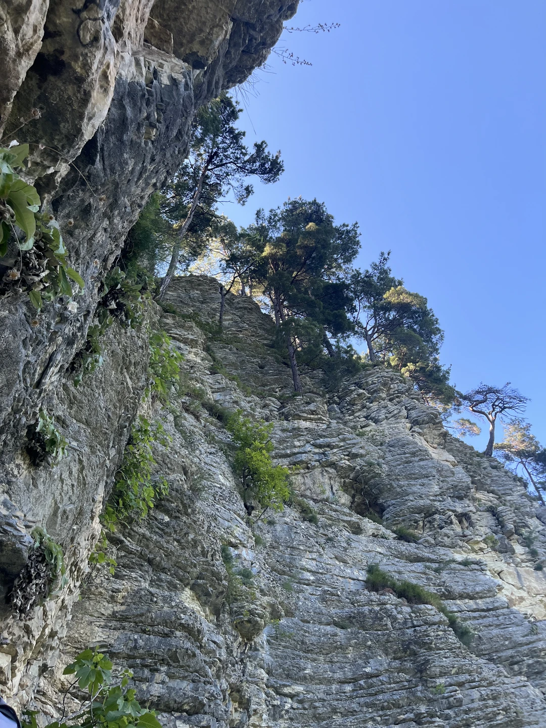 Я новичок в скалолазование. Для меня это был совершенно новый опыт. Получила море удовольствия, положительных эмоций