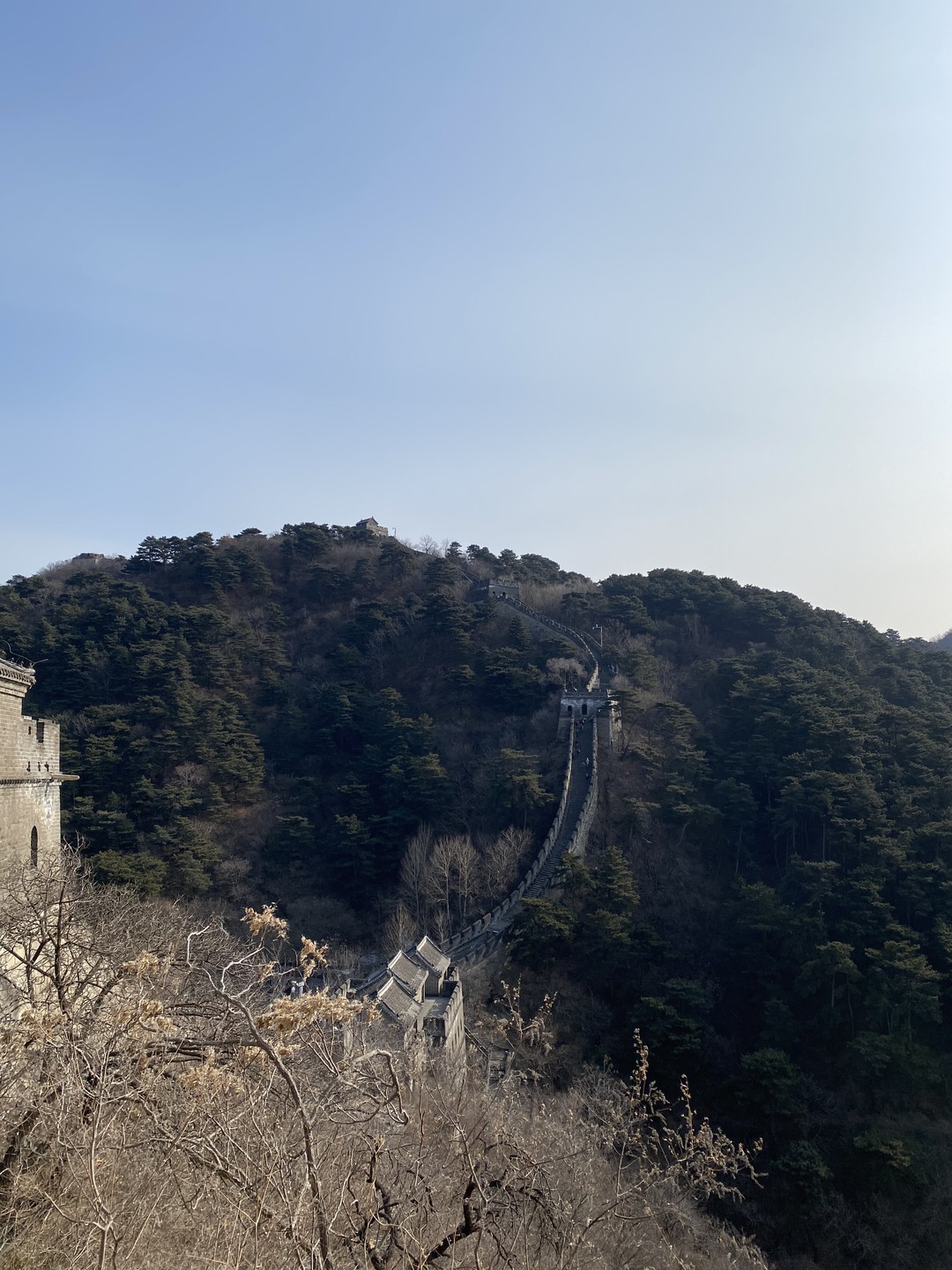 Великая стена Китая: участок Мутяньюй + традиционное чаепитие (Savva)