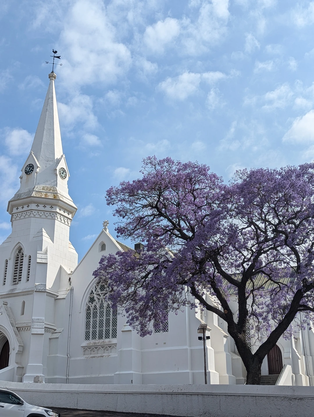 Спасибо, Александру, за чудесные дни проведенные в ЮАР. За 9 дней мы смогли посмотреть великолепный Кейптаун