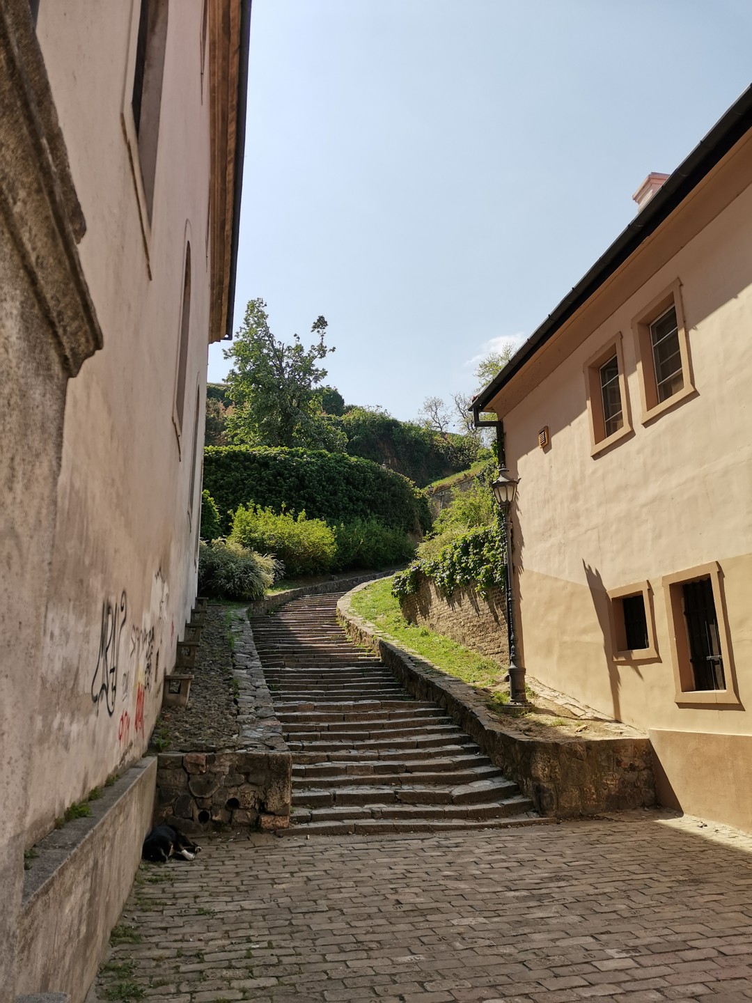 Фрушка Гора - Сремские Карловцы - Нови Сад (Павел)