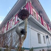 Фото отзыва 4: экскурсия "Арзамас уездный, уютный, исторический"