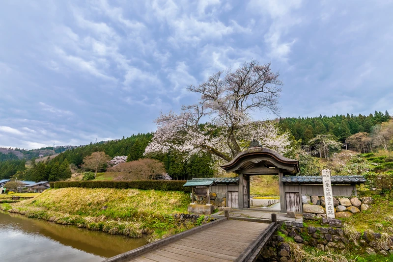 Из Токио — на Фукуи, в край самураев, дзэн-буддизма и невероятных пейзажей