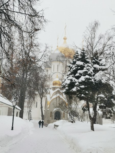 Прекрасная экскурсия, очень комфортная и тёплая. Сложилось впечатление, что это была вовсе и не экскурсия, а