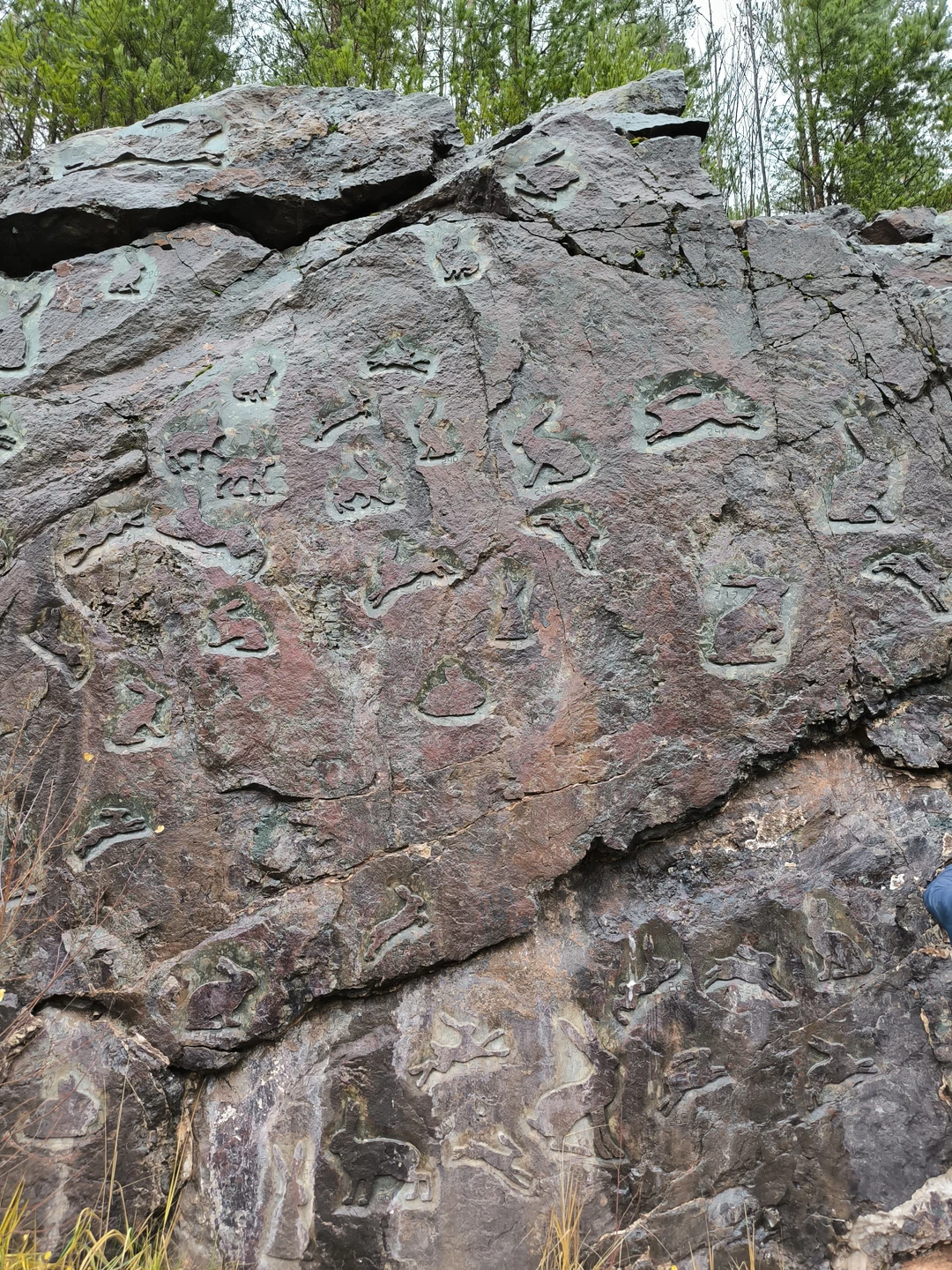 Спасибо за интересную и познавательную экскурсию. Было очень интересно, много узнали нового. Отдельное спасибо за чай с калитками