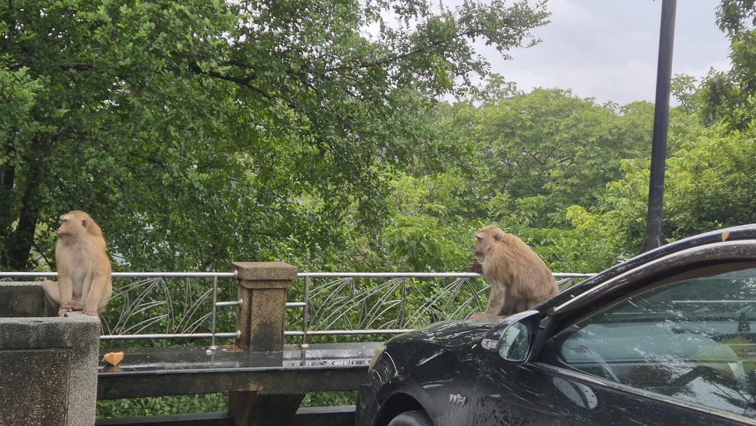 Большое путешествие по Пхукету на целый день (Вероника)