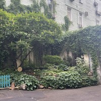Фото отзыва 1: экскурсия "Секретная Москва: прогулка с фотографом по Китай-городу"