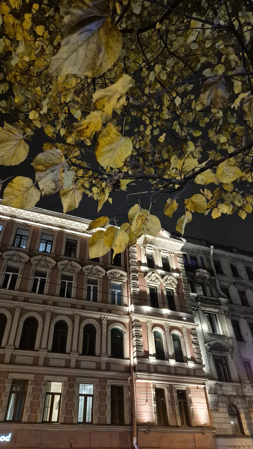 Секреты и лабиринты Петроградской стороны: дворы, парадные, легенды (Елена)