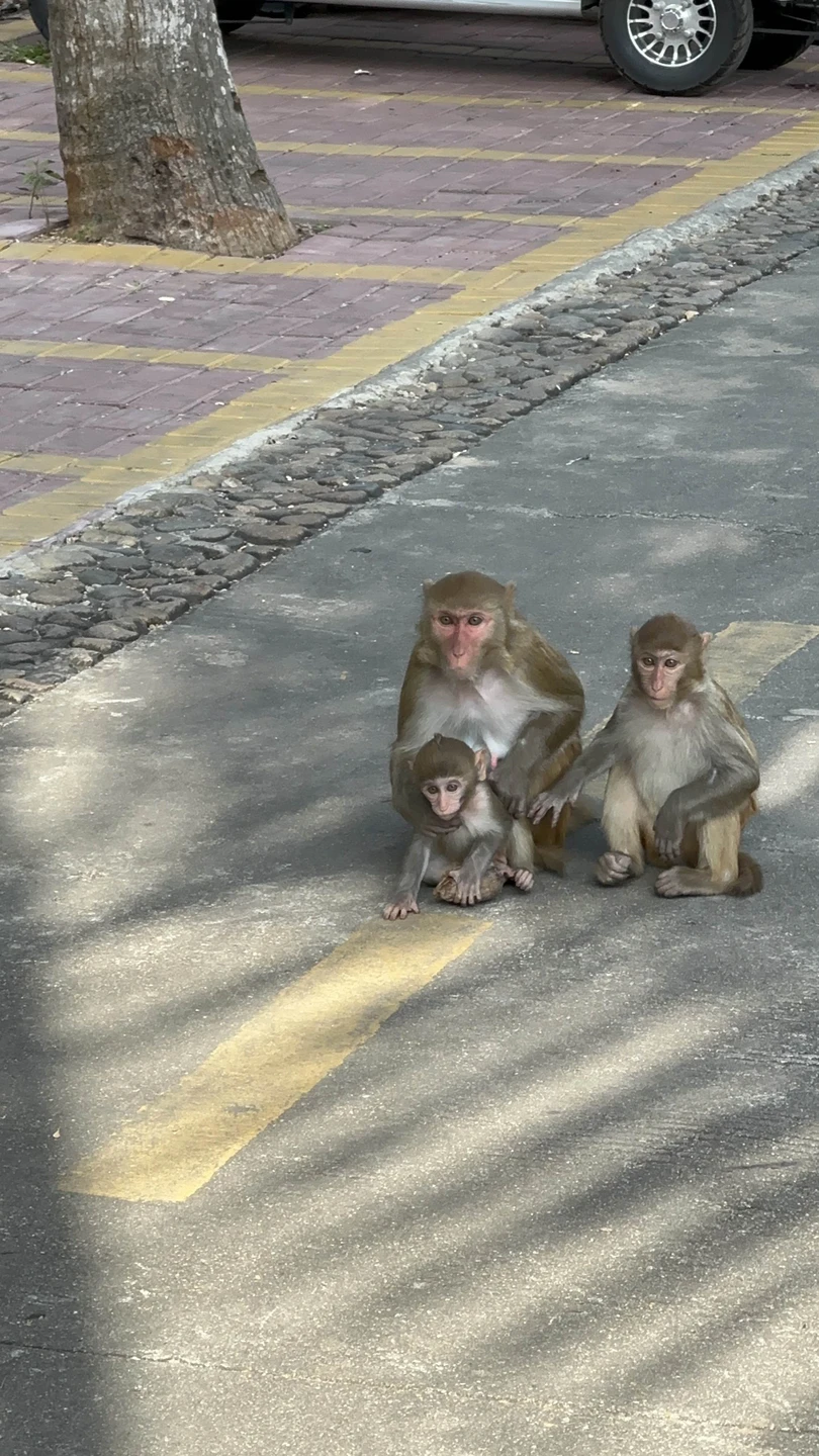 Отличная экскурсия!