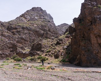 Барханы Хонгорын Элс