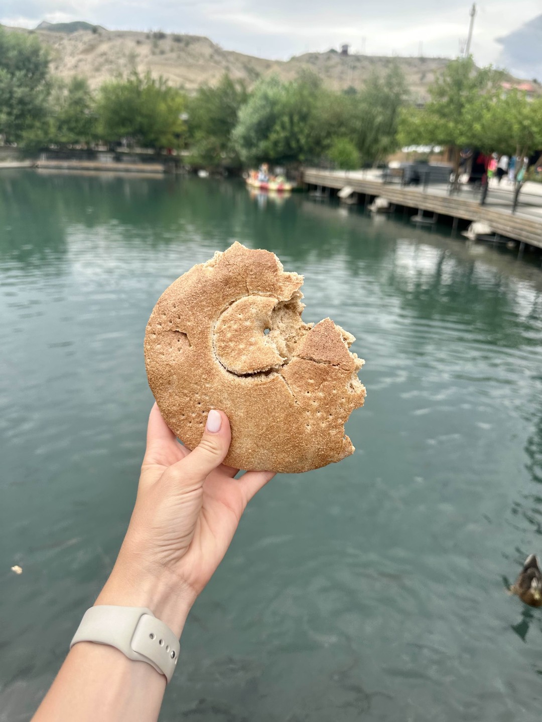 Сулакский каньон и бархан Сарыкум: между водой и пустыней (Светлана)