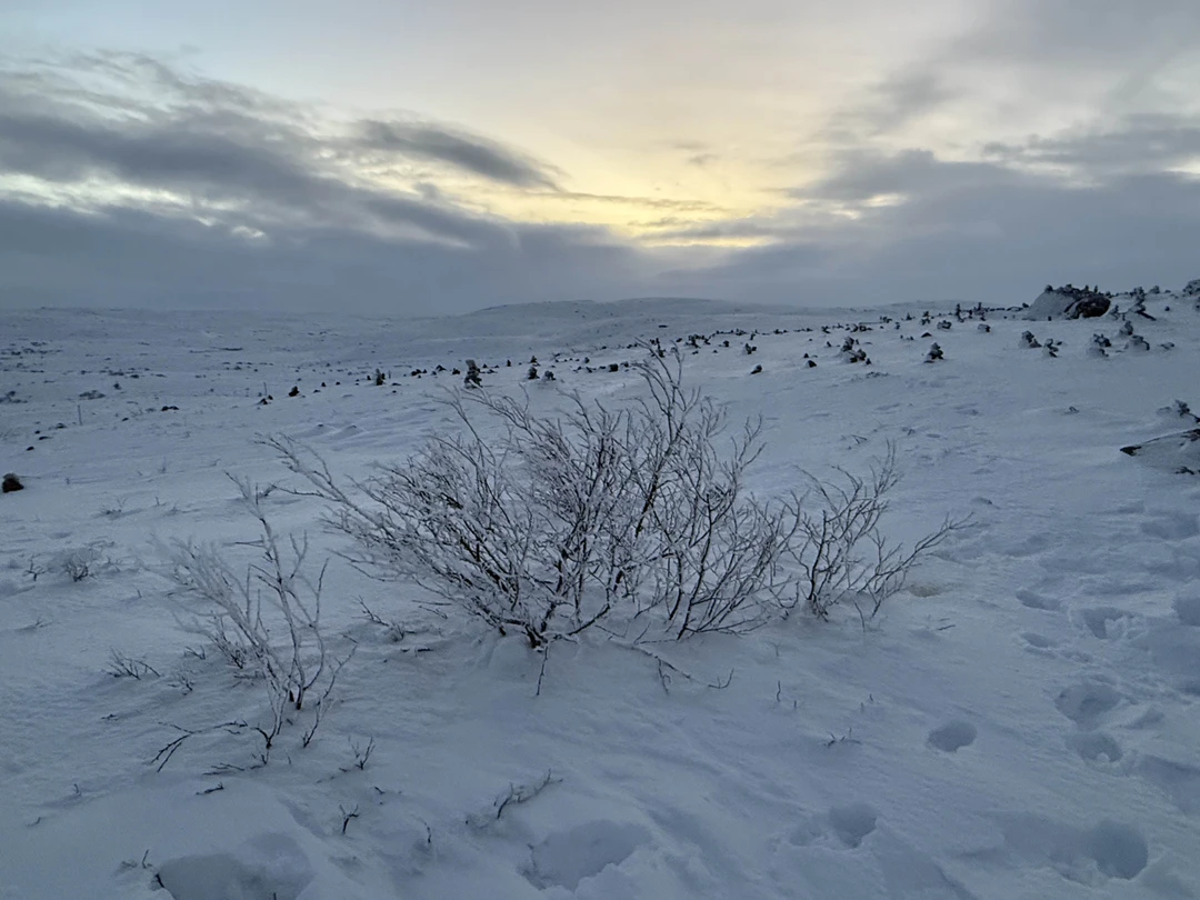 Мы провели прекрасный день в компании Александра. Экскурсия интересная, содержательная. Александр был очень внимателен к нашим