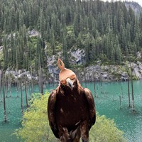 Фото отзыва 8: экскурсия "Озёра Каинды и Кольсай, Черный и Чарынский каньоны — все сокровища Алматы"