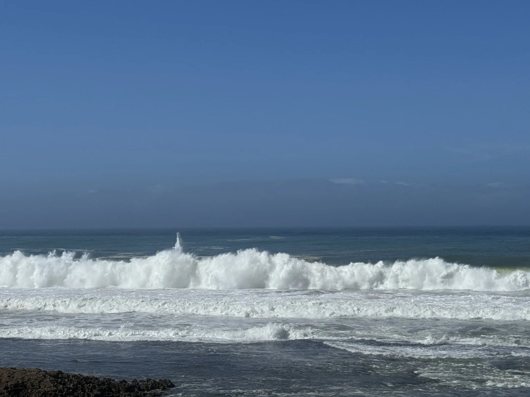 Секретная устричная ферма под Касабланкой (Елена)