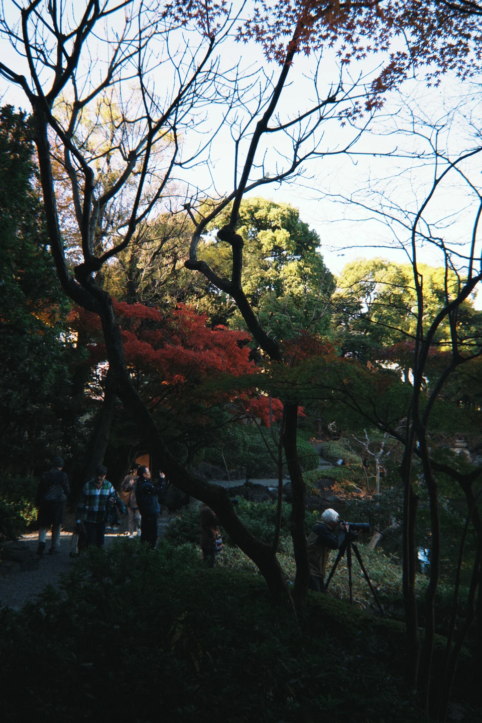 Пролистываю в памяти свою поездку по Японии и одно из ярких воспоминаний была эта экскурсия. Как-то