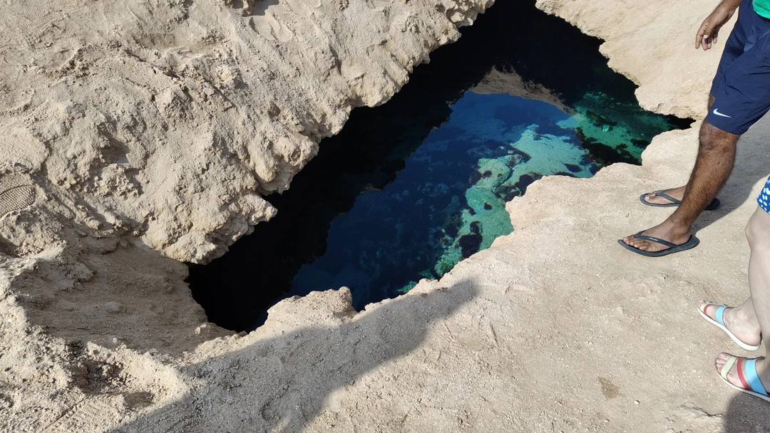 Всё вовремя, экскурсия неплохая, выбирали исходя из продолжительности. Поплавали, посмотрели рыбок