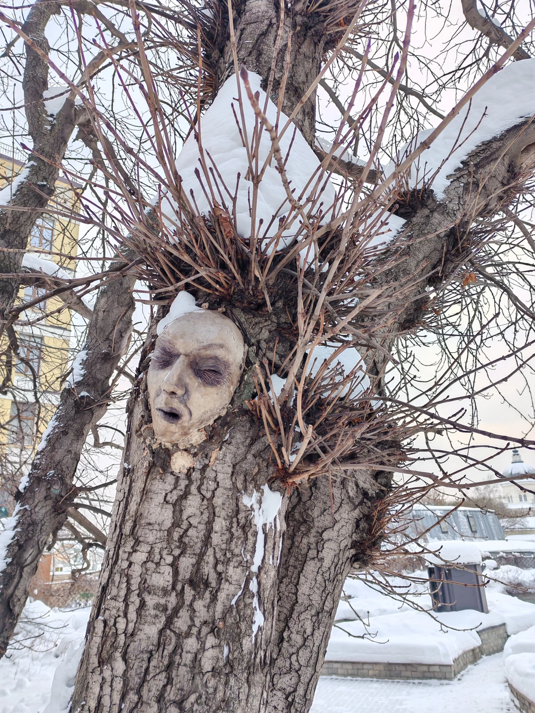 Замечательная познавательная экскурсия. Вера показала места в центре Москвы, о которых никогда не догадывалась. Неспешный темп,