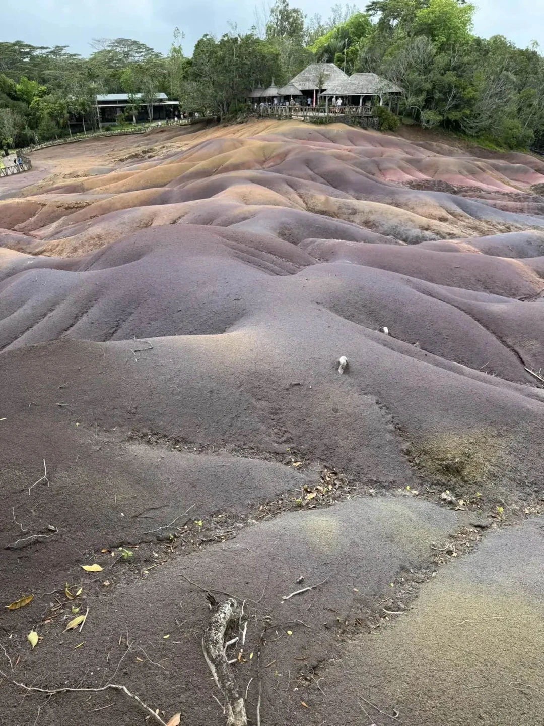 Забронировали у Анны экскурсию по южной части острова Маврикий. Анна провела экскурсию и совместила все самое