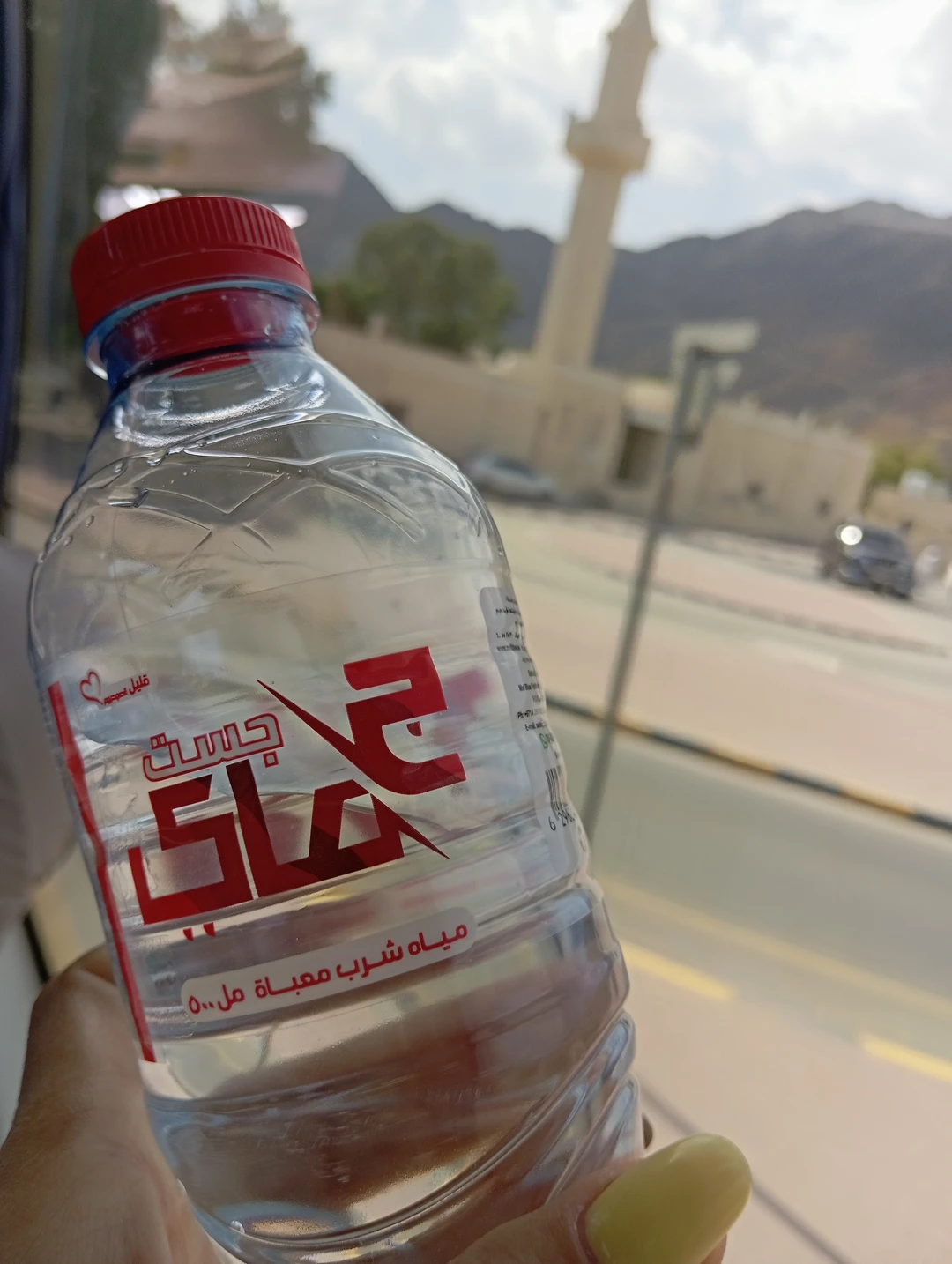 Индийский океан через 5 эмиратов (Ольга)