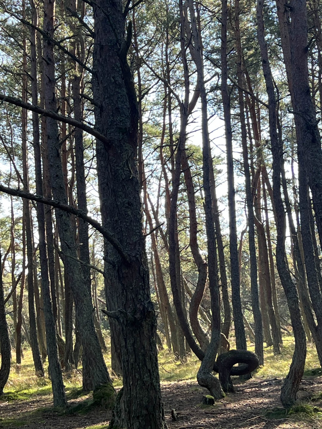 Нам очень понравилось: и места, и сопровождающий, и шаурма с селедкой))) И мы даже умудрились искупаться