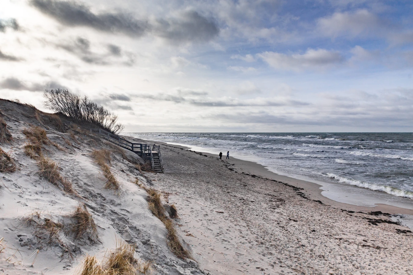 Классический маршрут на Куршскую косу — из Калининграда