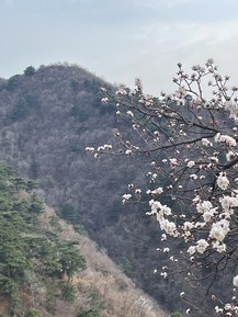 Фото отзыва 1: экскурсия ""