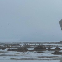 Фото отзыва 1: экскурсия "Те самые Тихая и Клоковский: мыс, водопад, янтарь, Тории, крабы"