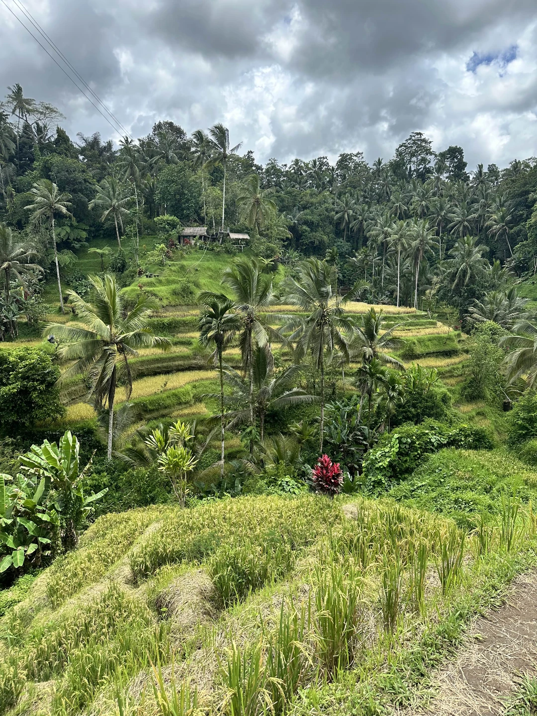 Бали до мурашек