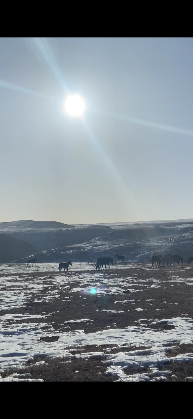 Очень повезло с погодой! Это, конечно, половина успеха. День прошёл незаметно в хорошей компании гида Марата,