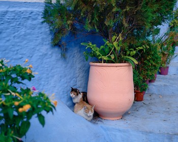 Синий город Шефшауэн