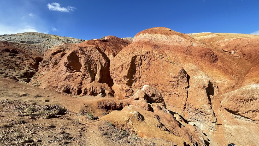 Алтай по максимуму: горные перевалы, прогулка по Телецкому озеру и высадка на Марсе (Вышинская)
