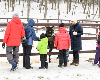 Поздравление от Деда Мороза, наблюдение за животными