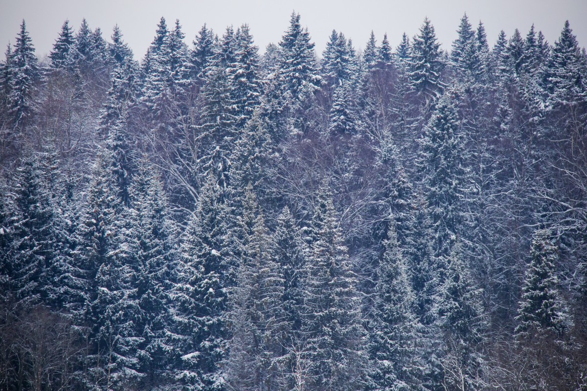 Главное изображение экскурсии - Лыжный поход с проживанием в доме: до карьеров и Савватиевой пустыни