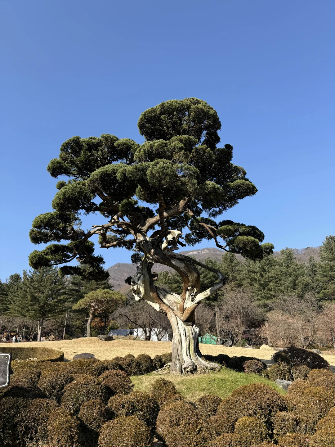 Все понравилось, большое спасибо!