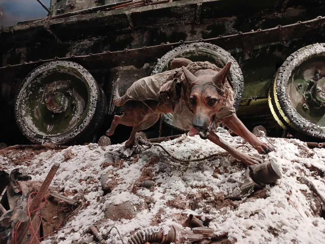 Наша экскурсия была перенесена с 25 на 29 января, так как не набралось людей. Но нам