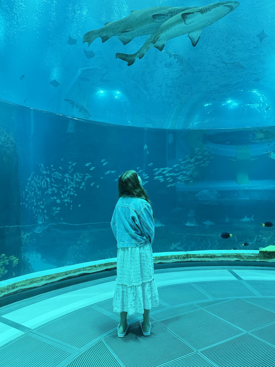 Нам понравилось, как мы провели день с Фаридом, в Абу-Даби были в первый раз, с учетом