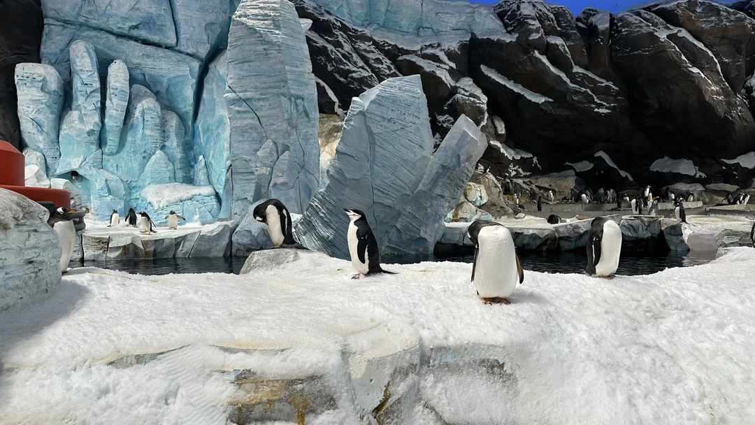 Брали на 3-х человек данную экскурсию. Экскурсию проводил гид=водитель Фируз на новом автомобиле Киа Карнивал. Забрал