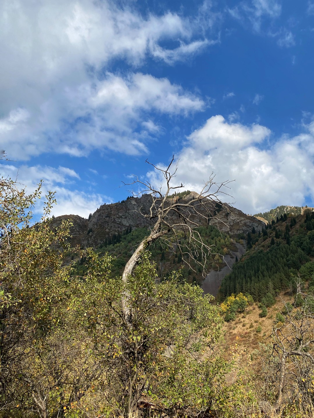 Потрясающая, между прочим, выдалась поездка, даже лучше ожиданий🏞️💚 и определенно на плато Ассы побываю еще раз