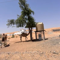 Фото отзыва 3: экскурсия "Золотые дюны и рай посреди пустыни"