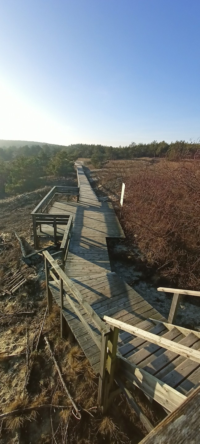 Святослав прекрасный рассказчик-слушать его особое удовольствие!