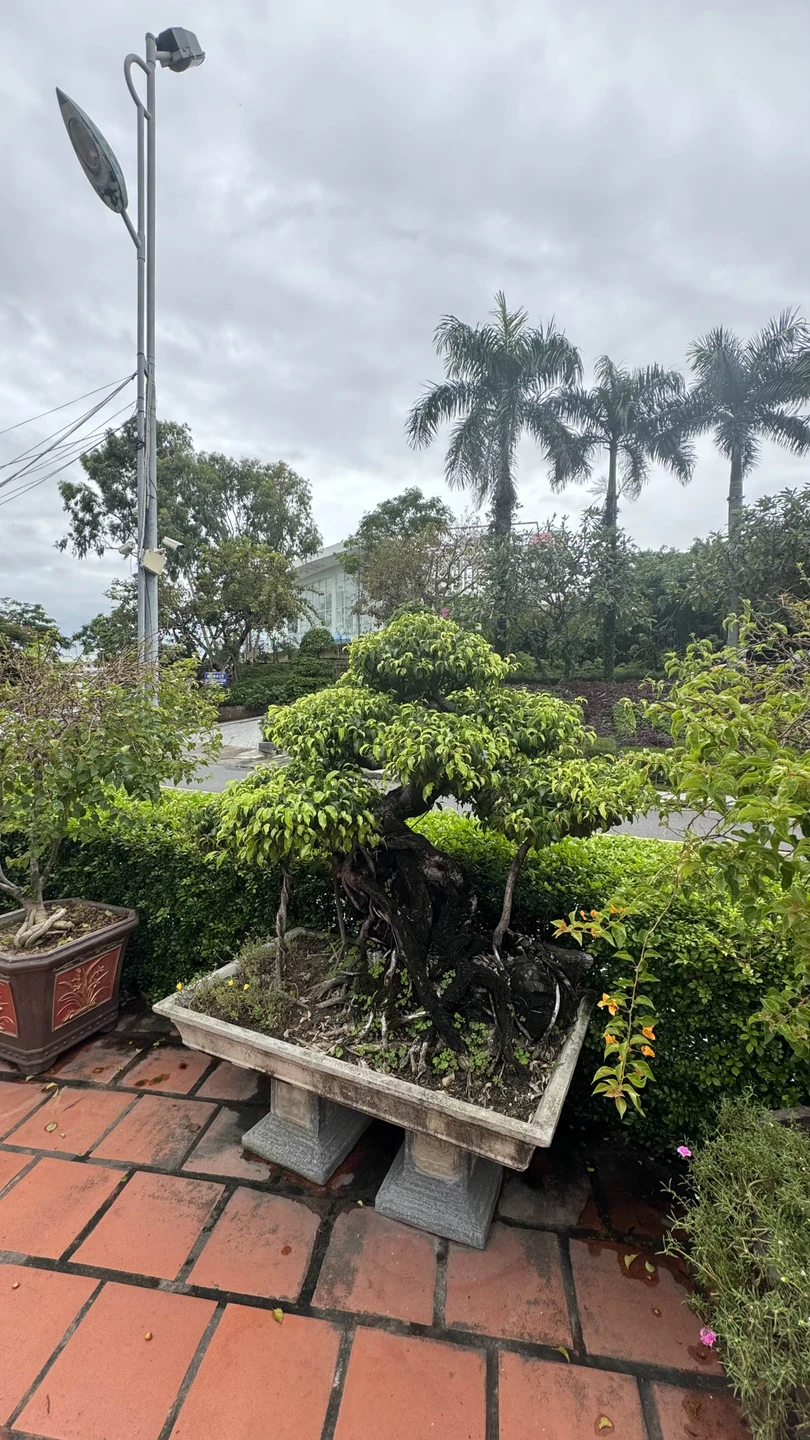 Прекрасная экскурсия, почти 6 часов пролетели незаметно