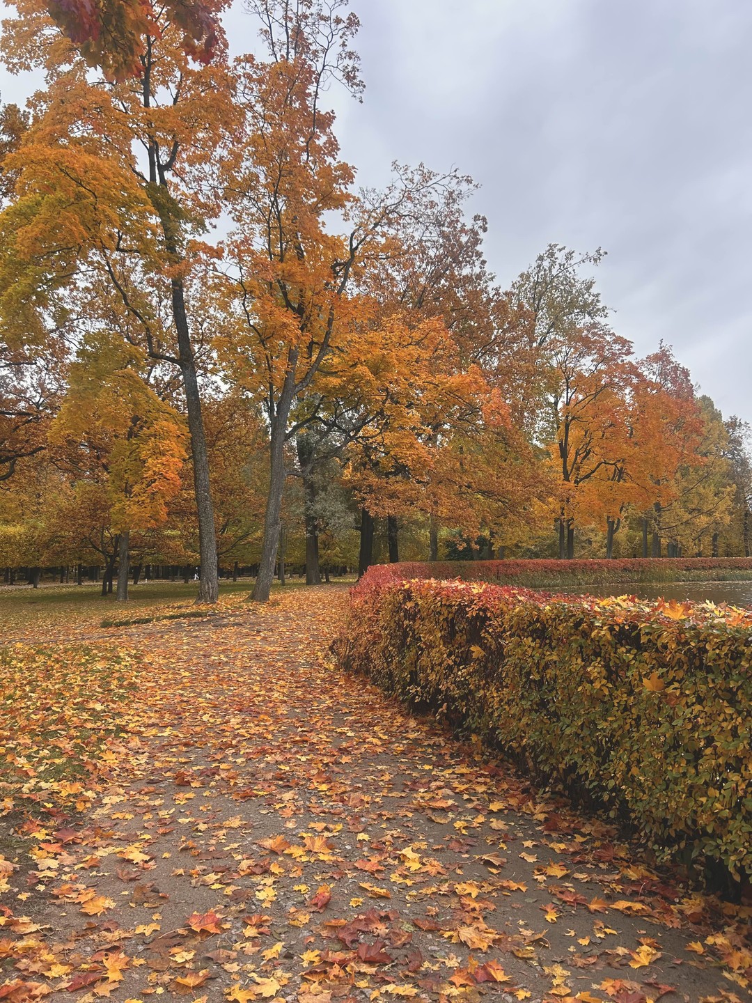 Автобусная экскурсия из Петербурга «Кронштадт - Петергоф» (Алина)