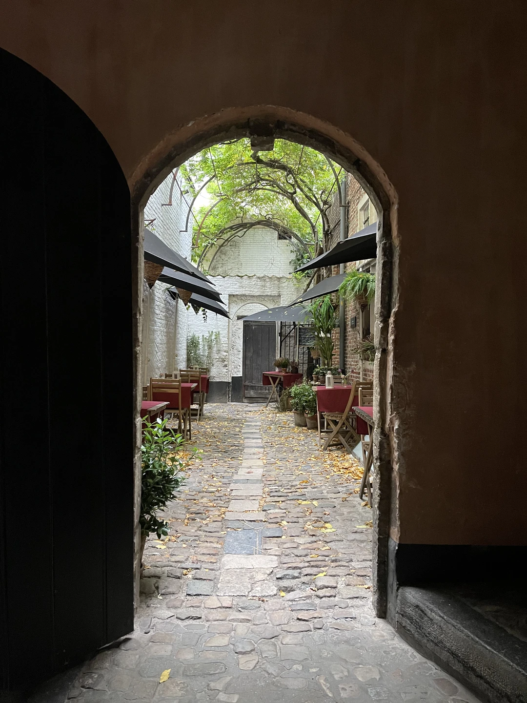 Хочу выразить благодарность Екатерине за любовь и знания к городу Антверпен и не только к этому великолепному городу