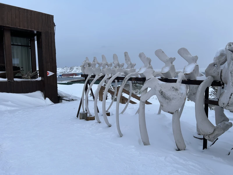 Большое спасибо организаторам экскурсии и особенно нашему гиду Александру! Встреча была назначена на 7 утра, и