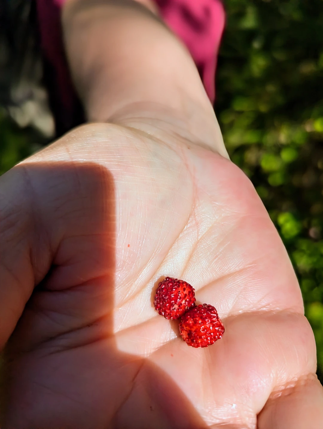 Всё понравилось!
