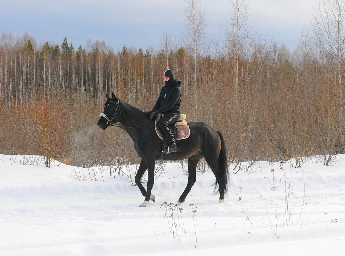 Конная прогулка по лесу близ Екатеринбурга