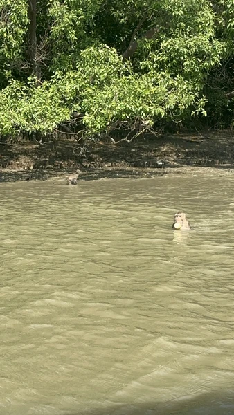 все прошло прекрасно, интересно, и познавательно