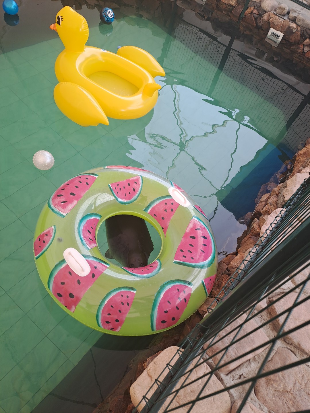 Наши 4 дня пролетели незаметно!!! . Осталось много ярких эмоции и впечатдлений от поездки. Встретить закат