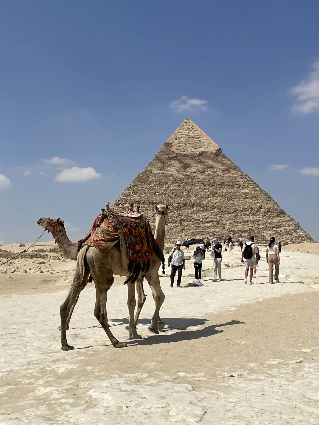 Большое спасибо за экскурсию, все очень понравилось!