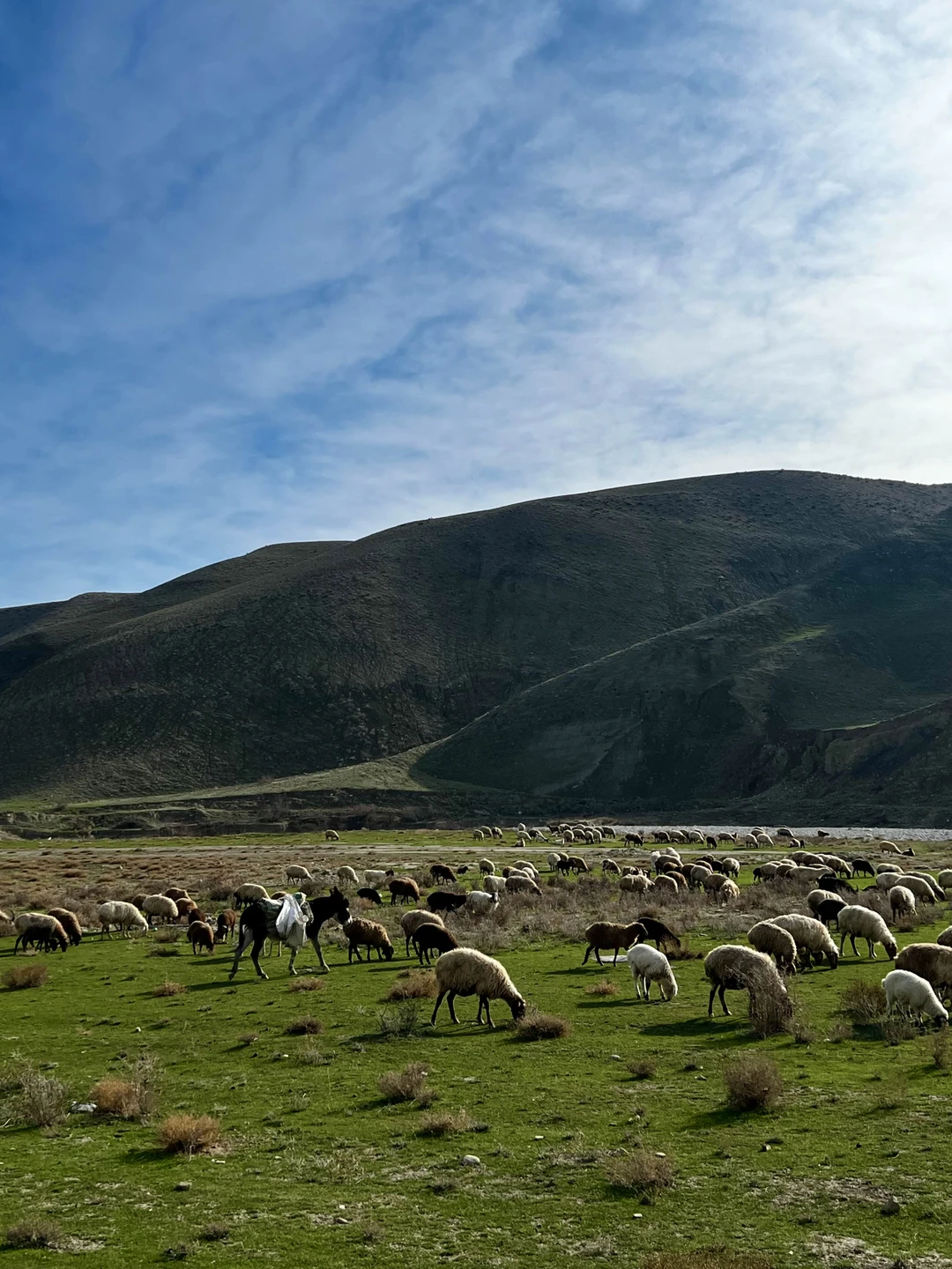 Красивая и познавательная экскурсия, которая отлично показывает, насколько разнообразен Азербайджан за пределами Баку